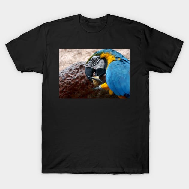 Macaw Parrot T-Shirt by Nicole Gath Photography